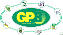 GP Batteries Romania - baterii, acumulatori, incarcatoare, transformatoare - putere reala